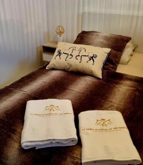Mandres Cama Y Desayuno | Chambre d'hôtes au Haras d'Agathe et ses princes