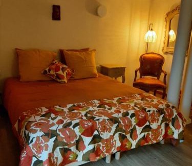 Vieille-Brioude Cama Y Desayuno | chambre d'hôtes charme et nature