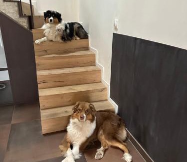 Niederhergheim Casa | Chambre dans grange alsacienne rénovée