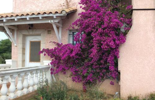Marseillan Casa | Chambre deux