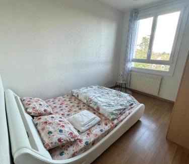 Fleury-les-Aubrais Casa | Chambre double chez habitant