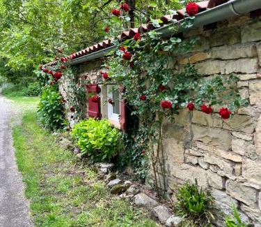 Saint-Antonin Noble Val Cama Y Desayuno | Chambre en bordure d'Aveyron