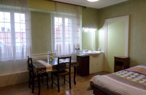 Haguenau Casa | Chambre individuelle à lit double dans une maison de Maître de 1904