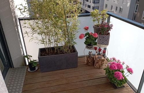 Lingolsheim Casa | Chambre nature chez l'habitant