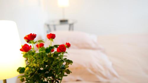 Buzeins Cama Y Desayuno | Chambres d'hôtes Entre Dolmens et Fontaines