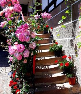 Rott Cama Y Desayuno | Chambres d'hôtes "La Petite Vallée"