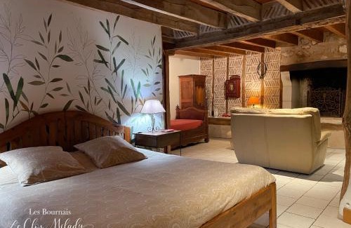 Theneuil Cama Y Desayuno | Chambres d'Hôtes Les Bournais - Le Clos Milady