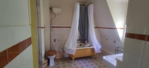 Bessines-sur-Gartempe Cama Y Desayuno | Chambres d'Hôtes-Château Constant