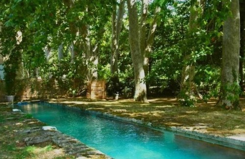 Le Cailar Casa | Character house under three-hundred-year-old plane trees