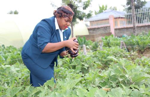 Naivasha Casa | CHARIS FARM AIR b&b
