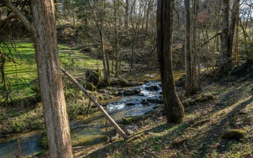 Sevierville Villa | Charlies Creek Retreat
