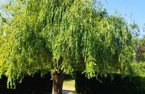 Saint-Georges-sur-Baulche Casa | Charmante Maison Avec Jardin Proche Auxerre