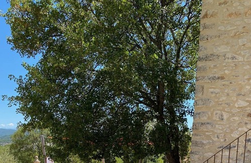 Simiane-la-Rotonde Otro | Encanto, lavanda y tenis en Provenza