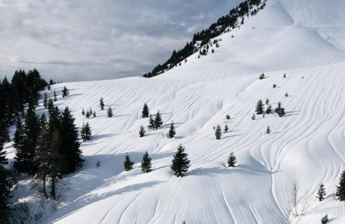 Les Carroz-d'Araches Apartamento | Charmant appartement dans chalet