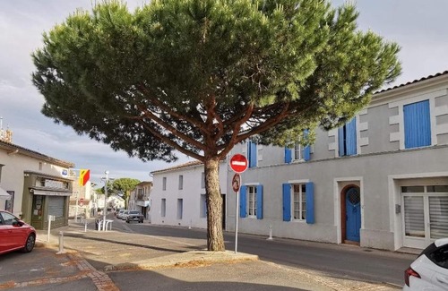 Meschers-sur-Gironde Apartamento | Charmant appartement dans centre Meschers/Gironde