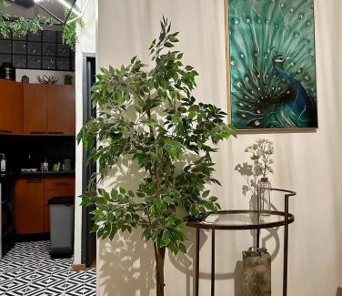 Le Piol Apartamento | Charmant Appartement T2