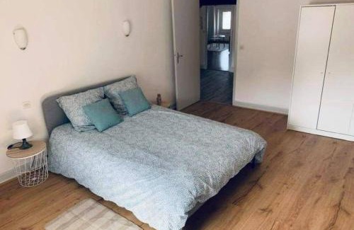Mazamet Apartamento | Charmant appartement T2 hypercentre de Mazamet