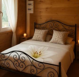 Villefranche-sur-Cher Chalet De Esquí | Charmant chalet au cœur de la Sologne