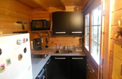 Vielle-Saint-Girons Chalet De Esquí | Charmant chalet en bois