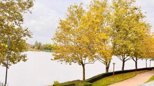 Ormetteau-Port Apartamento | Charmant et cosy appartement à Créteil lac