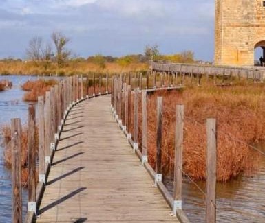 Saint-Laurent-d'Aigouze Casa | Charmant appartement au calme situé en Camargue