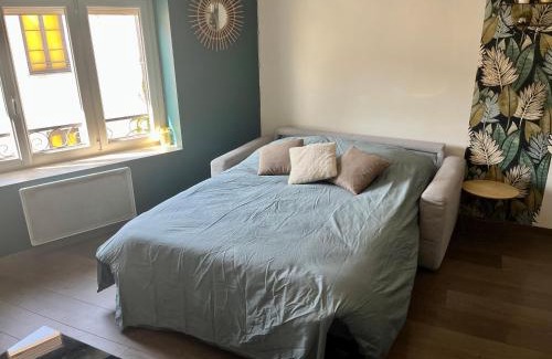 Villefranche-sur-Saone Apartamento | Charmant logement Villefranche