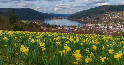 Gerardmer Apartamento | Charmant logis Gérardmer