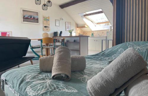 Saulcy-sur-Meurthe Apartamento | Charmant studio à Saulcy-sur-Meurthe, Vosges