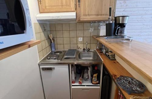 Laveissiere Apartamento | Charmant studio avec balcon, au pied des pistes et commerces à Laveissière - FR-1-787-44