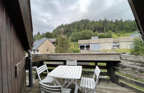 Laveissiere Apartamento | Charmant studio avec balcon, au pied des pistes et commerces à Laveissière - FR-1-787-44