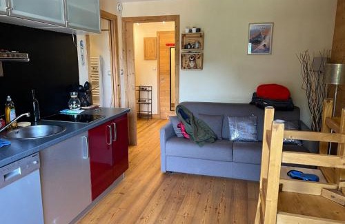 Valloire Apartamento | Charmant Studio Cabine 4 Pers, Centre de Valloire, Proche Télécom./Commodités, Casier à Skis/Balcon - FR-1-263-535