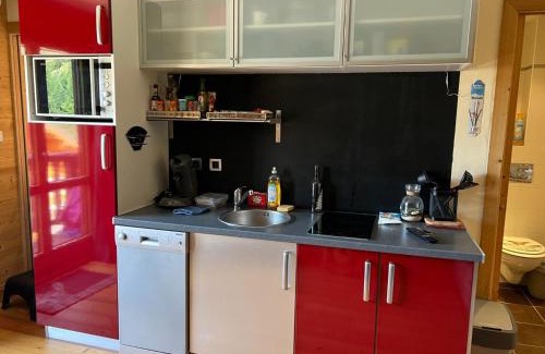 Valloire Apartamento | Charmant Studio Cabine 4 Pers, Centre de Valloire, Proche Télécom./Commodités, Casier à Skis/Balcon - FR-1-263-535