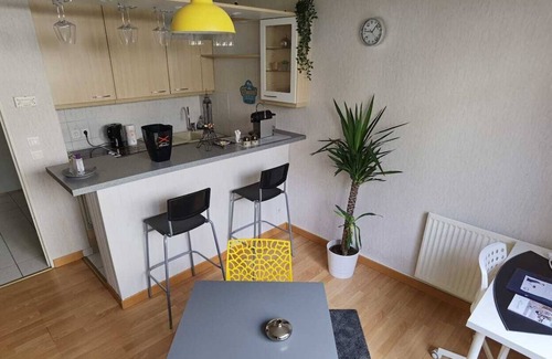 Reims City Centre Apartamento | Charmant Studio Terrasse Proche Hypercentre