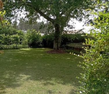 Leon Apartamento | Charmant T1 avec jardin