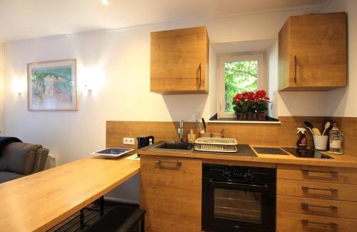 Mont-Dore Apartamento | Charmant T2 au Mont-Dore, 38m², proche thermes, terrasse et wifi, résidence calme, parking à proximité - FR-1-608-252
