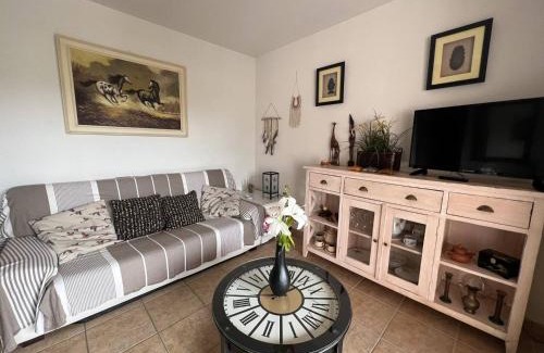 Cambo-les-Bains Apartamento | Charmant T2 avec terrasse et piscine, proche des thermes à Cambo-Les-Bains - FR-1-495-59