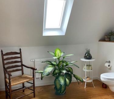 Osnabrueck Apartamento | Charmante Altbauwohnung in perfekter Lage