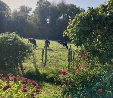 Les Damps Casa | Charmante Datcha en Normandie