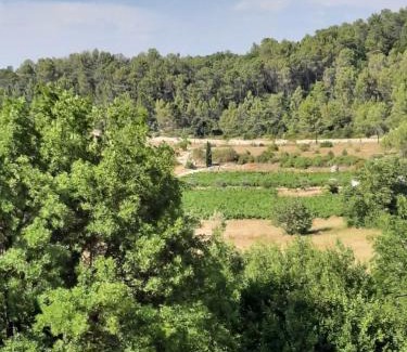 Bras Casa | Charmante demeure au cœur de la provence verte