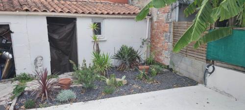 Rochefort Casa | Charmante maison de plain-pied