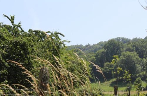 Grezes Casa | Charmante Maison Périgourdine avec Jardin Clos, Cheminée et à Proximité des Sites Préhistoriques - FR-1-616-291
