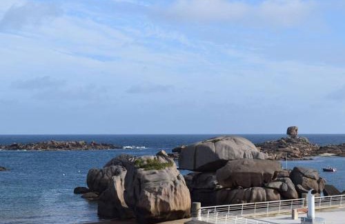 Tregastel Casa | Charmante maisonnette bretonne à 100m de la mer avec jardin, terrasse et proximité centre Trégastel - FR-1-368-26