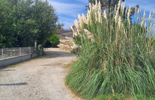 Torcenay Casa | Charmante Petite Maison