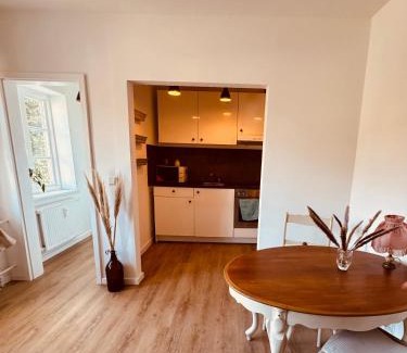 Flensburg Apartamento | Charmantes Einzimmer-Apartment in zentraler Lage