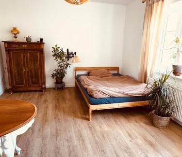 Flensburg Apartamento | Charmantes Einzimmer-Apartment in zentraler Lage