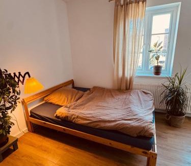 Flensburg Apartamento | Charmantes Einzimmer-Apartment in zentraler Lage