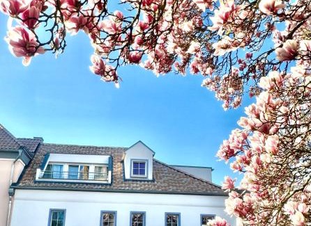 Brenig Apartamento | Charmantes Haus Nähe Bonn Köln Messe Phantasialand
