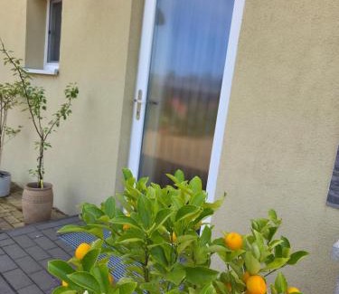 Heinersbruck Apartamento | Charmantes Studio Ferienhaus mit Garten & Netflix Nähe Spreewald
