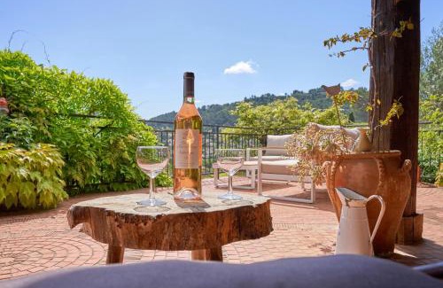 Sollies-Toucas Casa | Charme provençal Les amandiers piscine et animaux