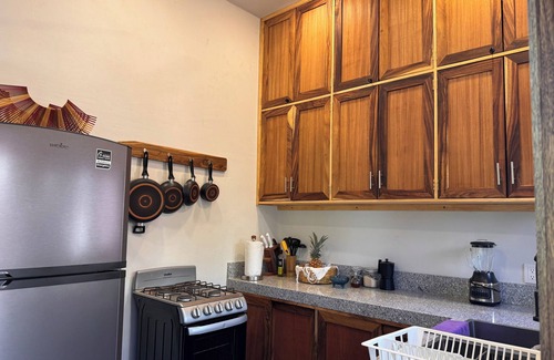 San Agustinillo Apartamento | Charming 1-bedroom apartment garden and ocean view San Agustinillo with AC